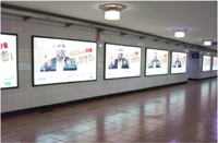 Ultrathin Light Box